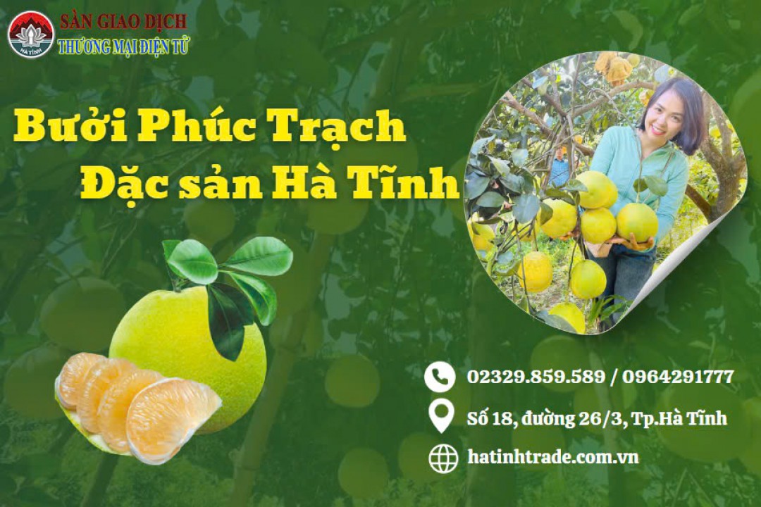 bưởi Phúc Trạch