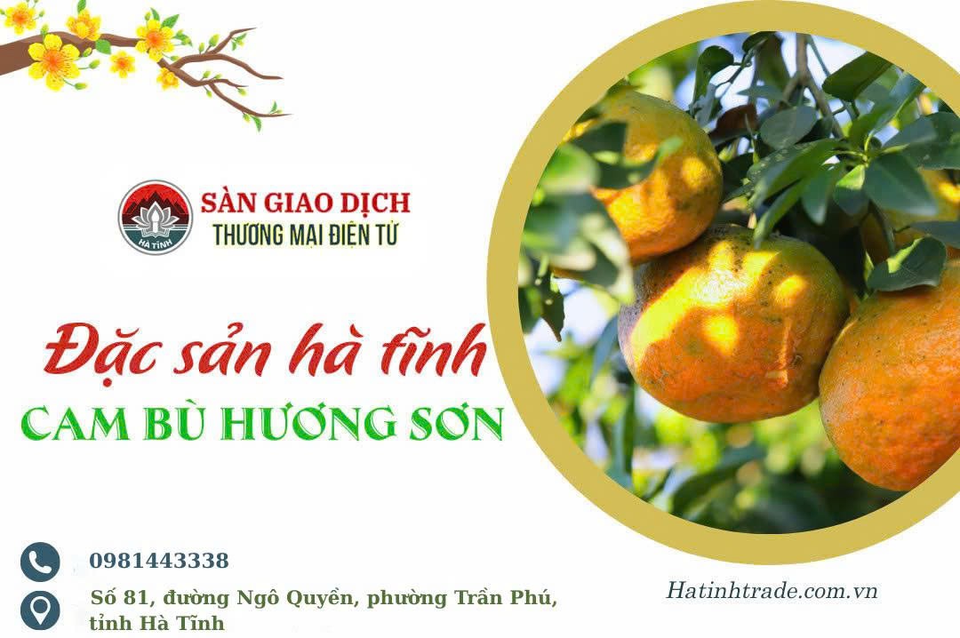 Cam bù Hương Sơn