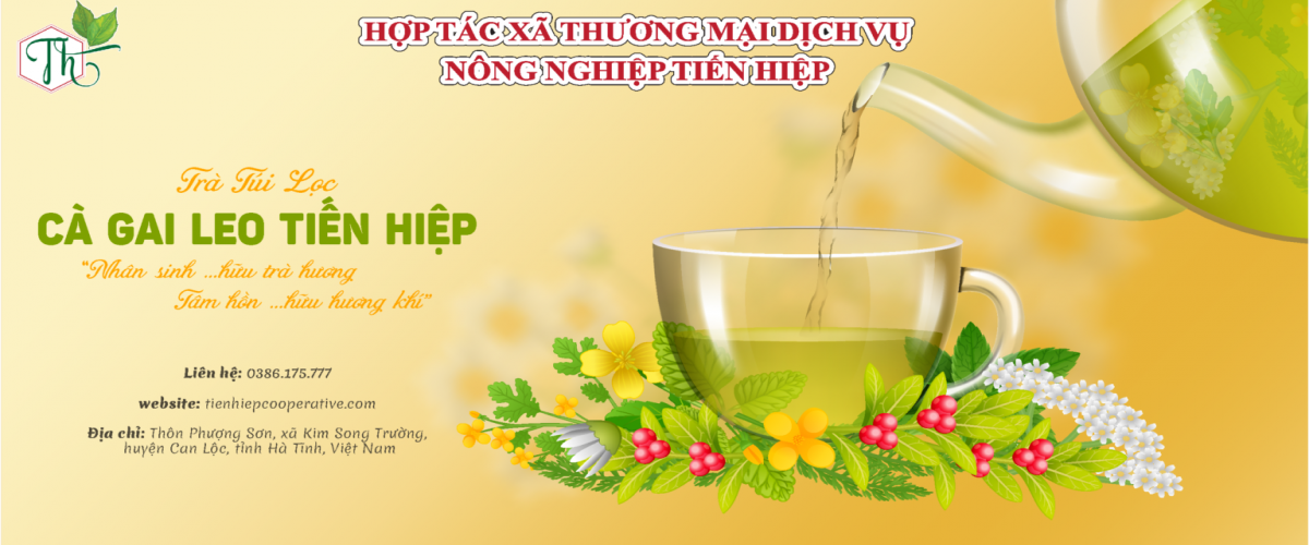 HỢP TÁC XÃ THƯƠNG MẠI DỊCH VỤ NÔNG NGHIỆP TIẾN HIỆP