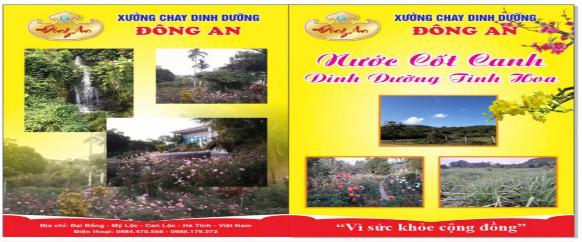 Thực phẩm chay Đông An