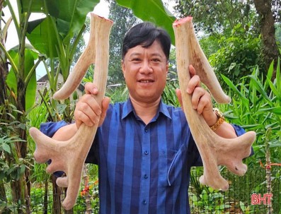 1747610066-h-320-niem-vui-duoc-mua-loc-nhung-cua-nguoi-dan-huong-son.jpg