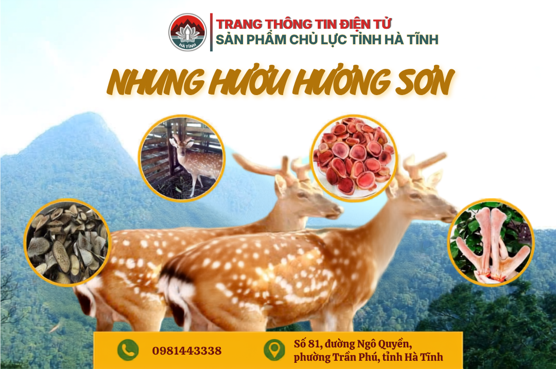 Nhung hươu Hương Sơn