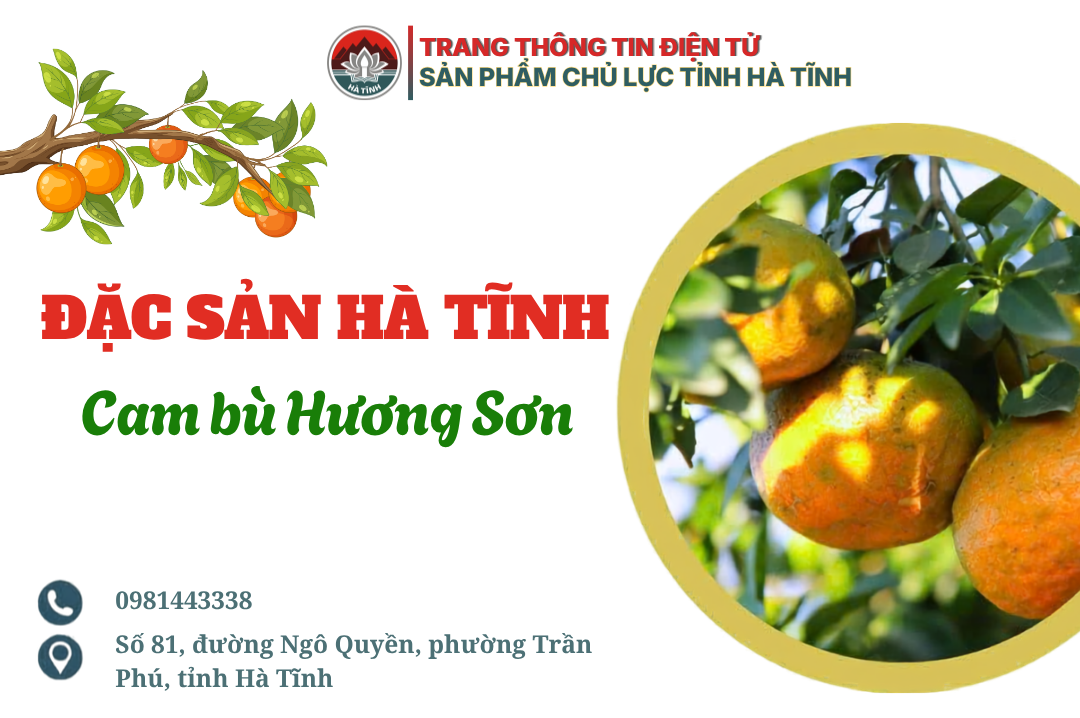 Cam bù Hương Sơn